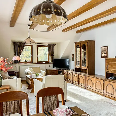 Liemecke Apartment Winterberg